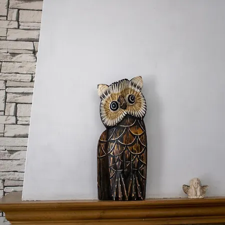 Appartamento Wakacyjny Dom Dawidowka Wisła