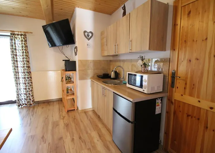 Wakacyjny Dom Dawidowka * Visla