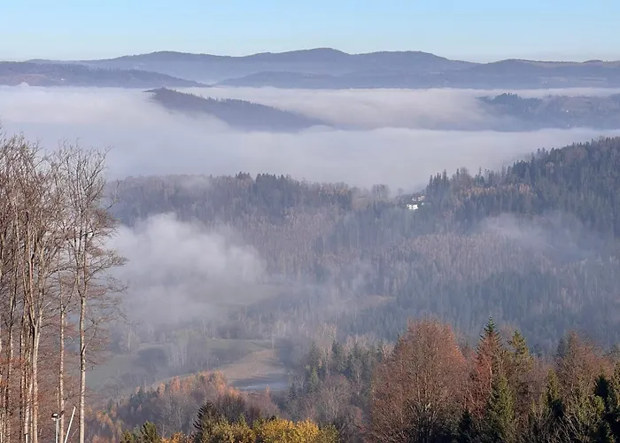 Wakacyjny Dom Dawidowka Visla