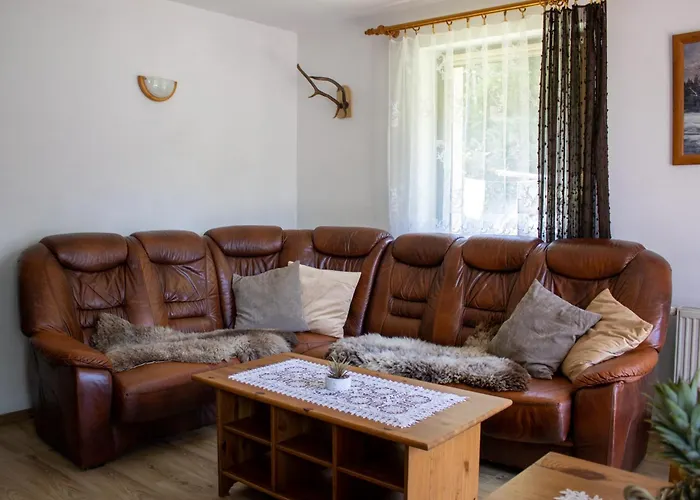 Wakacyjny Dom Dawidowka * Visla