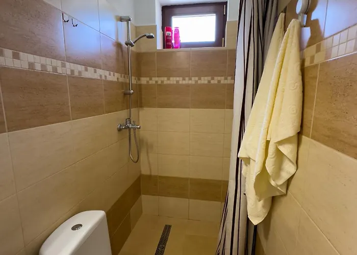 Wakacyjny Dom Dawidowka * Visla